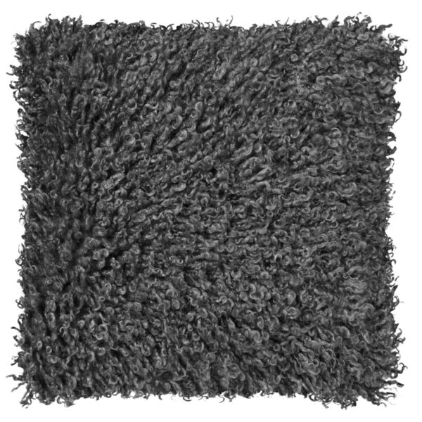 Wooly padi - hall